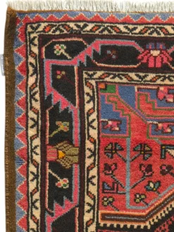 Tuiserkan Hamadan|Kibek Hot