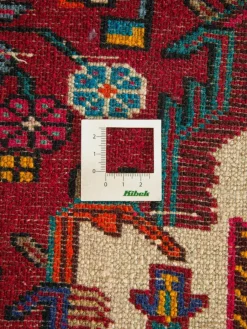 Tuiserkan Hamadan|Kibek New