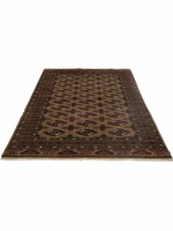 Turkeman|Kibek Clearance