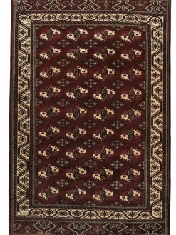 Turkeman|Kibek Clearance