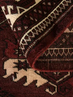 Turkeman|Kibek Clearance