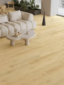 Vancouver|Kibek Sale