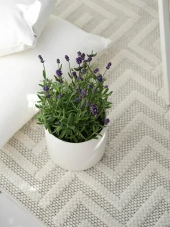 Vedras|Kibek Discount