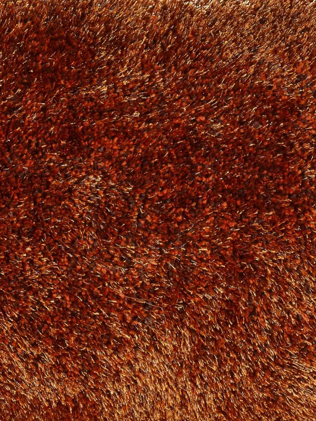 Vernissage|Kibek Hot