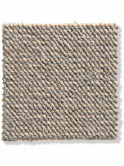 Wellington|Kibek New