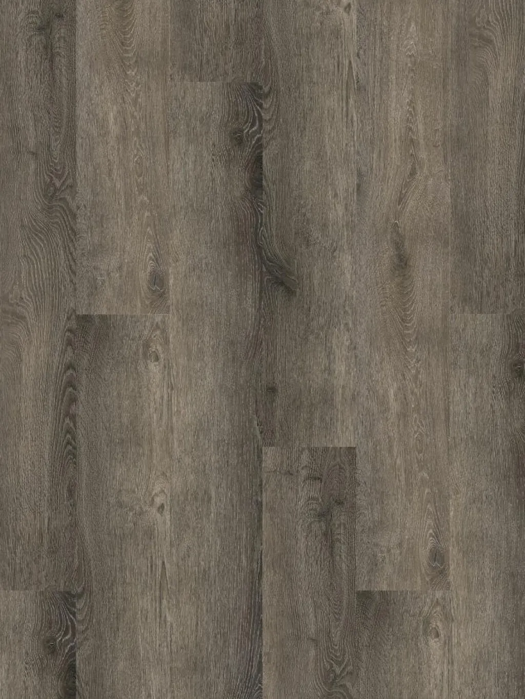 Whisper Wood|Kibek Online