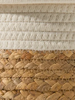 White Lid|Kibek Online