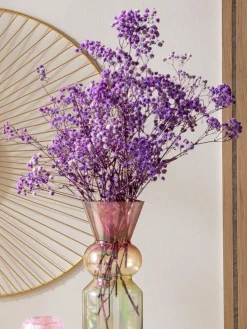 Yenga|Kibek Clearance