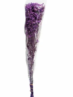 Yenga|Kibek Clearance