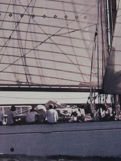 Zweimaster|Kibek Outlet